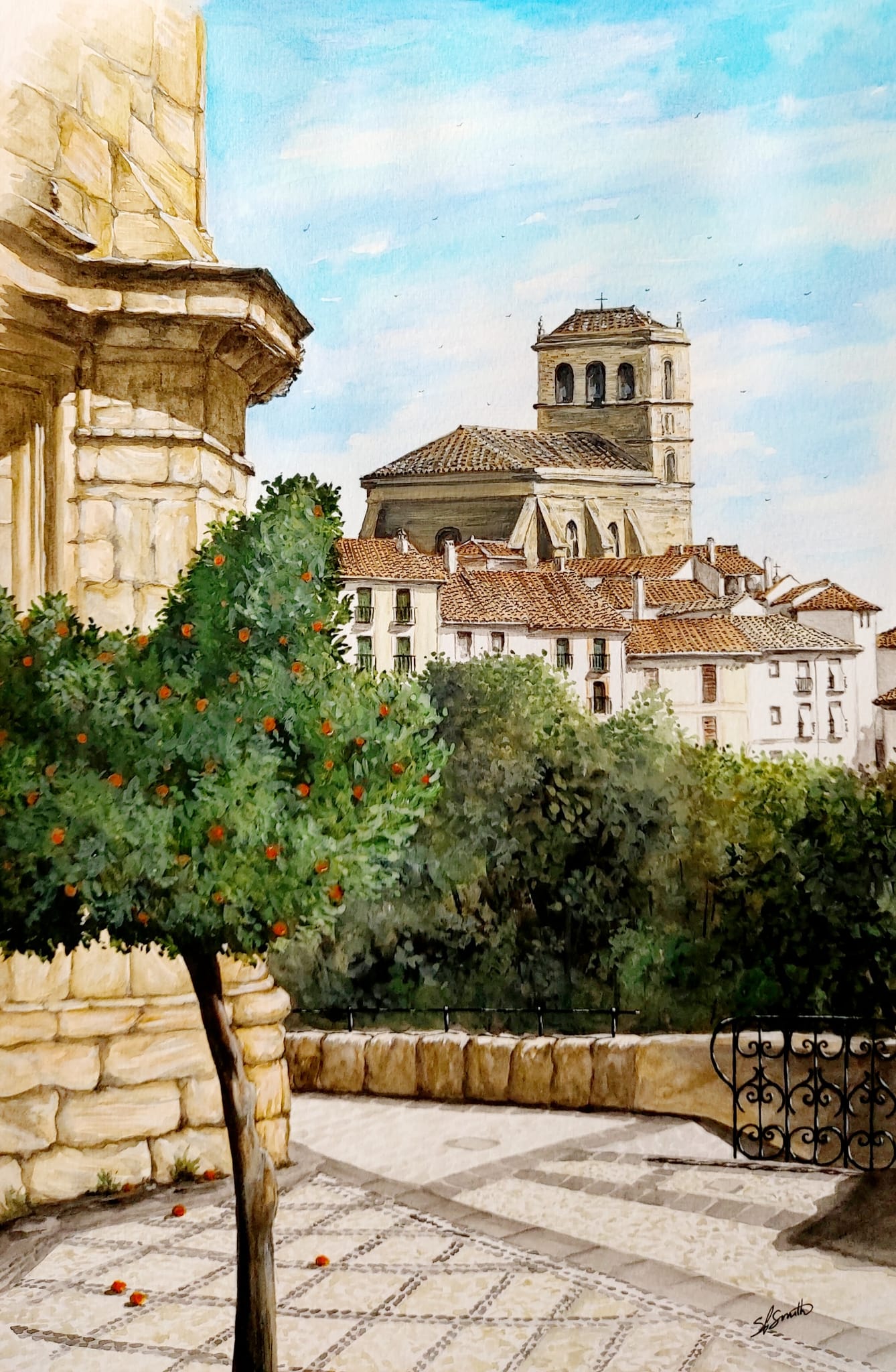 andalucian Flora and Fauna Kingfisher