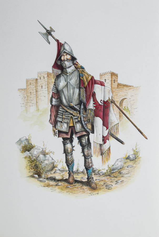 andalucian Flora and Fauna Kingfisher