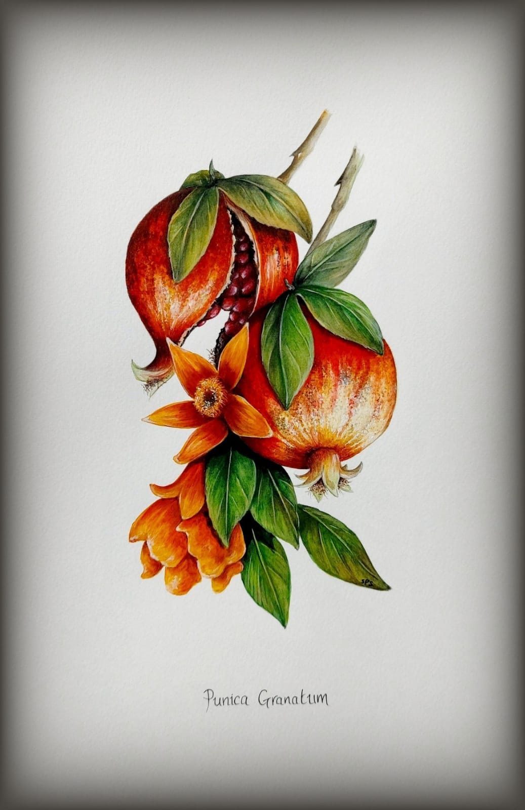 church santa cruz del comercio